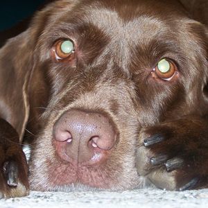 Meet your Posher, Maureen